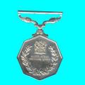 Southern Africa Full Size Medal Without Ribbon