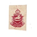 First World War Durban Goverment Hospital Nurse Badge