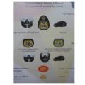 S.A. Rank Insignia Pre 2000 - Officially Issued By The S.A.D.F