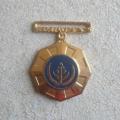 Pro Patria Medal (Full Size) without a Ribbon.