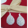 Dazzling Swarovski Crystals Set in 925 Sterling Silver Earrings Imported Filled Jewelry