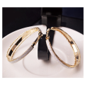 Attractive Imported Round Hoop with Silver Glitter Earrings