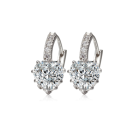 Charming Cr Heart Shape Diamond Crystal Set in 14ct White Gold Imported Filled Earrings