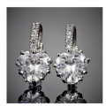 Charming Cr Heart Shape Diamond Crystal Set in 14ct White Gold Imported Filled Earrings