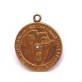 De Beers Industrial Diamond Division MEDALLION with genuine DIAMOND in middle.   Like Medal