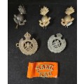 VARIOUS S.A.E.C. BADGES AND PINS