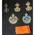 VARIOUS S.A.E.C. BADGES AND PINS