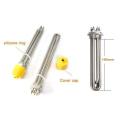 380V 3Kw Stainless Steel Immersion Electric Element Water Heater