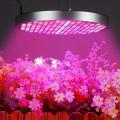 250 LED Grow Light