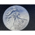 2013 Silver Liberty 1 Dollar (1 Ounce)