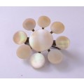 Vintage Natural Mother of Pearl and Brass Brooch Pin