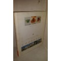 BOOKS SALE - The Collection Cookbook - Liz McGrath
