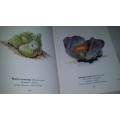 Books  -  Protected Wild Flowers of Western Cape - Beskermde Veldblomme van Kaapland 1956