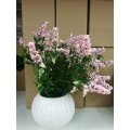 simulation flower plastic plastic flower potted plants R40 EACH IF YOU BUY 10 UNITS