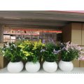 simulation flower plastic plastic flower potted plants R40 EACH IF YOU BUY 10 UNITS