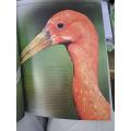 THE ENCYCLOPEDIA OF BIRDS. Ed Christopher Perrins