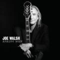 Joe Walsh - Analog Man (Digipack CD) [New]