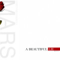 30 Seconds To Mars - A Beautiful Lie (CD) [New]
