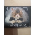 Cat Purse - Tough Guy (Imported) [New]