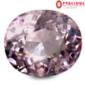 NATURAL 0.77 ct PGTL Certified AAA Fair Oval Cut (6 x 6 mm) Un-Heated Pink Morganite