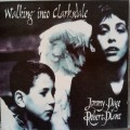 Jimmy Page & Robert Plant (CD) Walking into Clarksdale