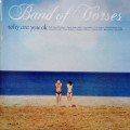 Band Of Horses (CD) Why Are You Ok