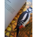 Birds (Hardcover) Jeffrey Fisher