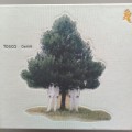 Tosca (CD) Dehli9