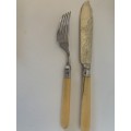 !!!! ANTIQUE KNIFE AND FORK PAIR!!