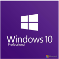 Microsoft Windows 10 Professional Activation Key (OEM Edition with Lifetime Activation + Download)