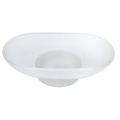 Soap Dish Holder With Frosted Oval Soap Dish