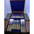 Vintage 12 place setting knife and fork - bone handled. Stunning set ! Look at the box!! Quality!