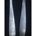 Stainless steel Japan - Spoon and pusher