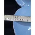Continental China blue dinner plates
