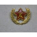 5 YEAR RESERVE FORCE BADGE ALL PINS
