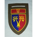 101 WORKSHOPS WITH ARMY BATTLE SCHOOL COMMAND BAR R/H SIDE ALL PINS