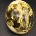 Fabulous Hand-Painted `Elephant` Ostrich Egg (Signed)