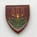 SADF - `East London Commando` Shoulder Flash (3 Pins)