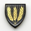 SADF - `Swartland Commando` Shoulder Flash (3 Pins)