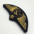 Early Bullion Embroidered `AIG` Pilots Wings (Unidentified)