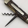Early `Joseph Westby` Horn Handled Jack Knife (Sheffield)