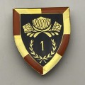 SADF - `1 Special Service Battalion` Shoulder Flash (3 Pins)