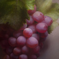 Flame Tokay Grapes - by Gerbrand van Heerden