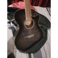 NEW ibanez AEG24ii-TGB electro acoustic guitar