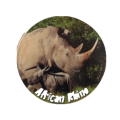 Licence Disc Sticker - African Rhino