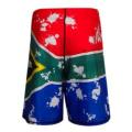 SA Flag Board Shorts Mens - Size 38
