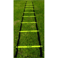 Agility Training Ladder Medalist 4 Metres