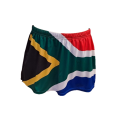SA Flag Skorts - Size Small (S)