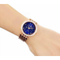 Michael Kors Ladies Darci Stainless Steel Watch - Brand New