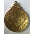 `COLLECTABLE`  OLD TRANSVAAL SWIMMING MEDALS, GOLD,SILVER AND BRONZE. BID PER MEDAL.